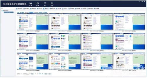 安企神信息安全管理軟件上網(wǎng)行為監(jiān)控助手V5.2綠色版 企業(yè)網(wǎng)絡(luò)與信息安全開發(fā)的得力助手