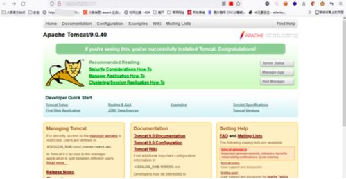 默認(rèn)頁面信息泄露 網(wǎng)絡(luò)安全面試中的關(guān)鍵挑戰(zhàn)與應(yīng)對策略